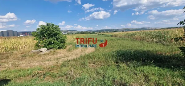 Teren Alba Iulia - poza 6
