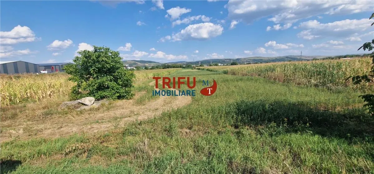 Teren intravilan construibil de 5.900 mp, zonă industrială, Șoseaua de Centură â€“ Alba Iulia - foto 6