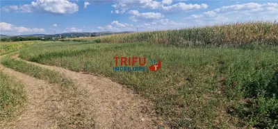 Teren intravilan construibil de 5.900 mp, zonă industrială, Șoseaua de Centură â€“ Alba Iulia - foto 7