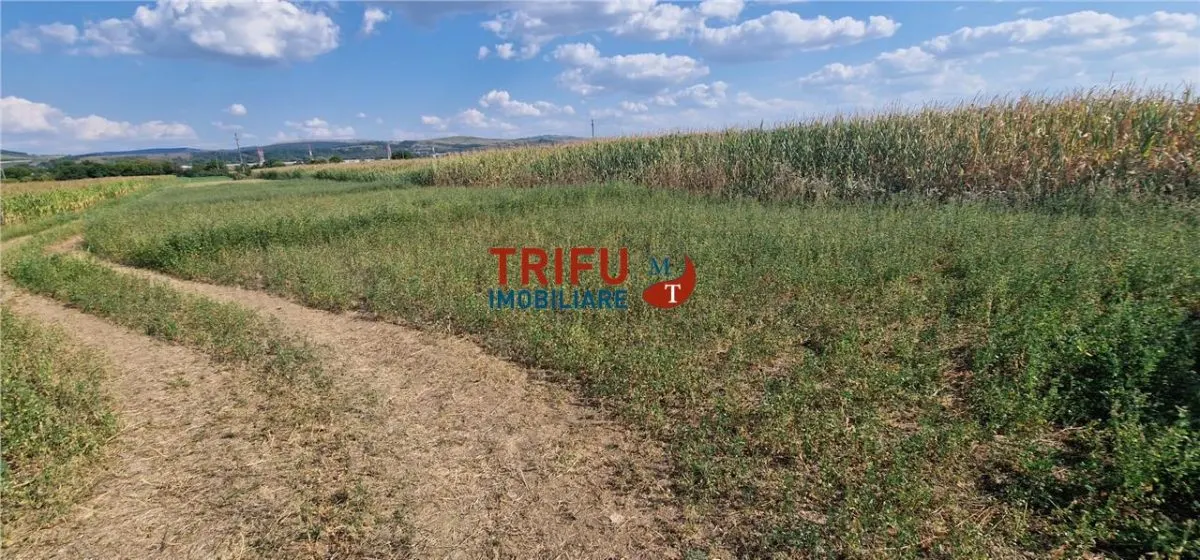 Teren intravilan construibil de 5.900 mp, zonă industrială, Șoseaua de Centură â€“ Alba Iulia - foto 7