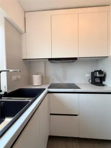 Centru - A Panu Judecatorie , apartament de vanzare cu 1 camera - foto 9