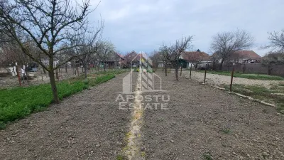 Casa individuala cu teren generos de 898 mp,Sag zona Centrala - foto 19
