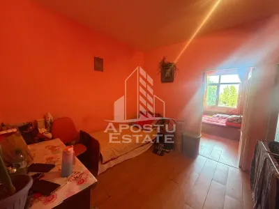 Apartament cu 1 camera de vanzare , etaj intermediar, Blascovici - foto 3