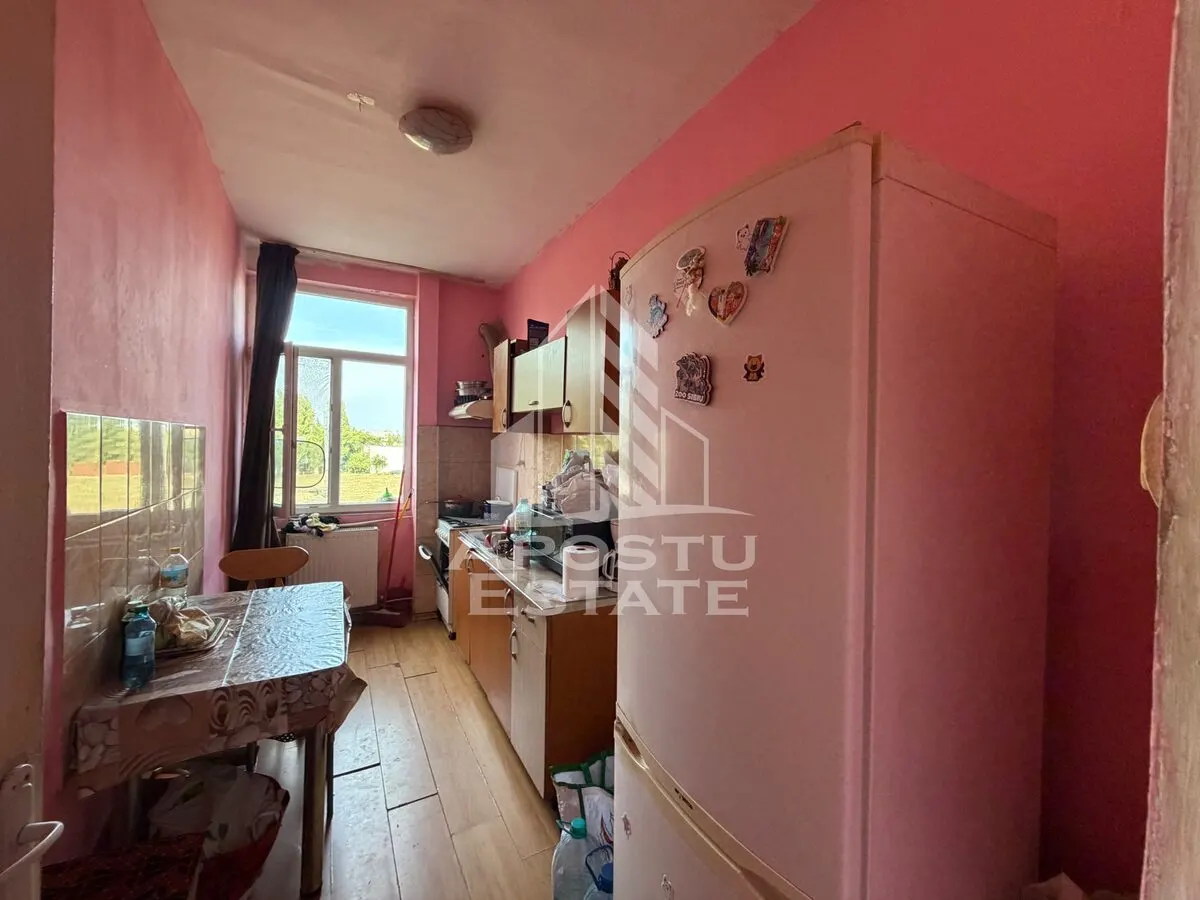 Apartament cu 1 camera de vanzare , etaj intermediar, Blascovici - foto 5