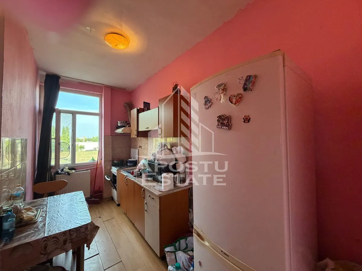 Apartament cu 1 camera de vanzare , etaj intermediar, Blascovici - foto 6