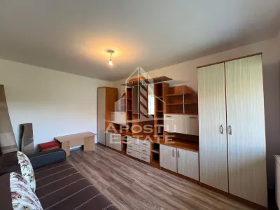 Apartament cu 1 camera de vanzare , Zona Lipovei , Timisoara - foto 3