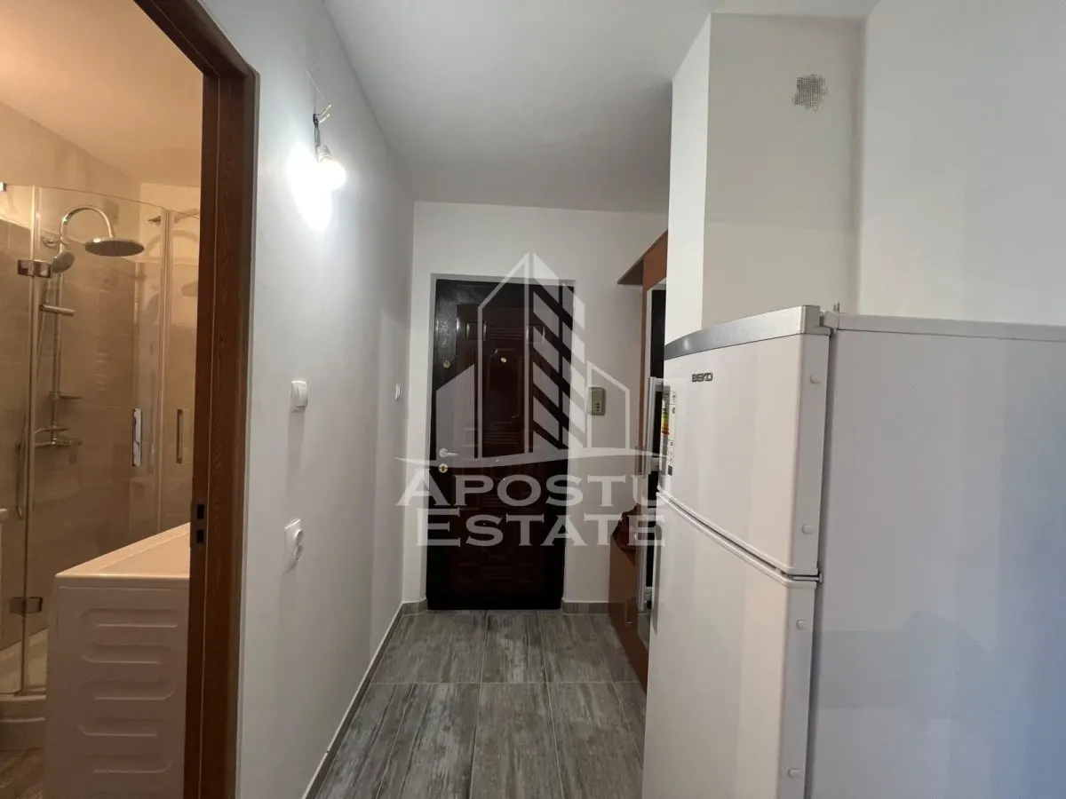 Apartament cu 1 camera de vanzare , Zona Lipovei , Timisoara - foto 5