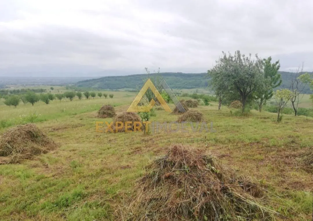 Teren intravilan în Coas 4000 mp 12 euro/mp - foto 3