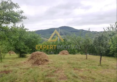Teren intravilan în Coas 4000 mp 12 euro/mp - foto 4