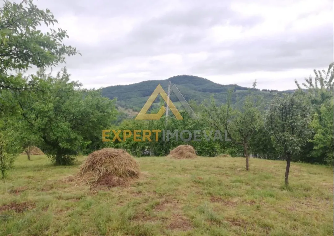 Teren intravilan în Coas 4000 mp 12 euro/mp - foto 4