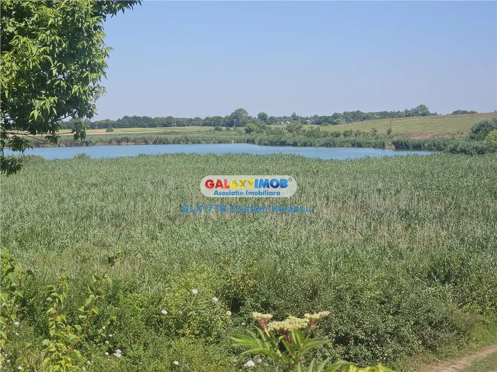 Gradistea 2177 mp cu deschidere directa la LAC de 24 ML - foto 3