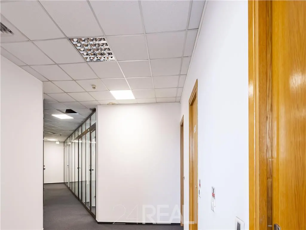 Spatii birouri in Iridex Business Center - de la 21 mp - foto 6