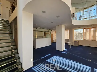 Luxoffice Center - duplex birouri 290 mp - foto 10