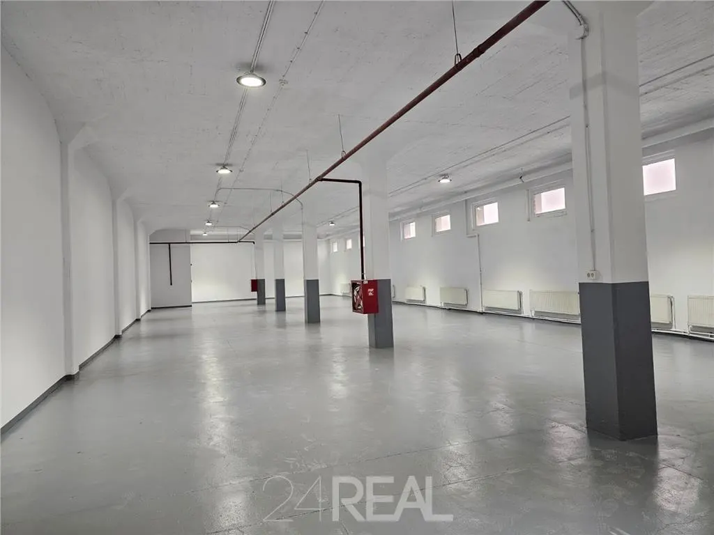 Spatii depozitare, productie, birouri, showroom-uri - de la 450 mp - foto 2
