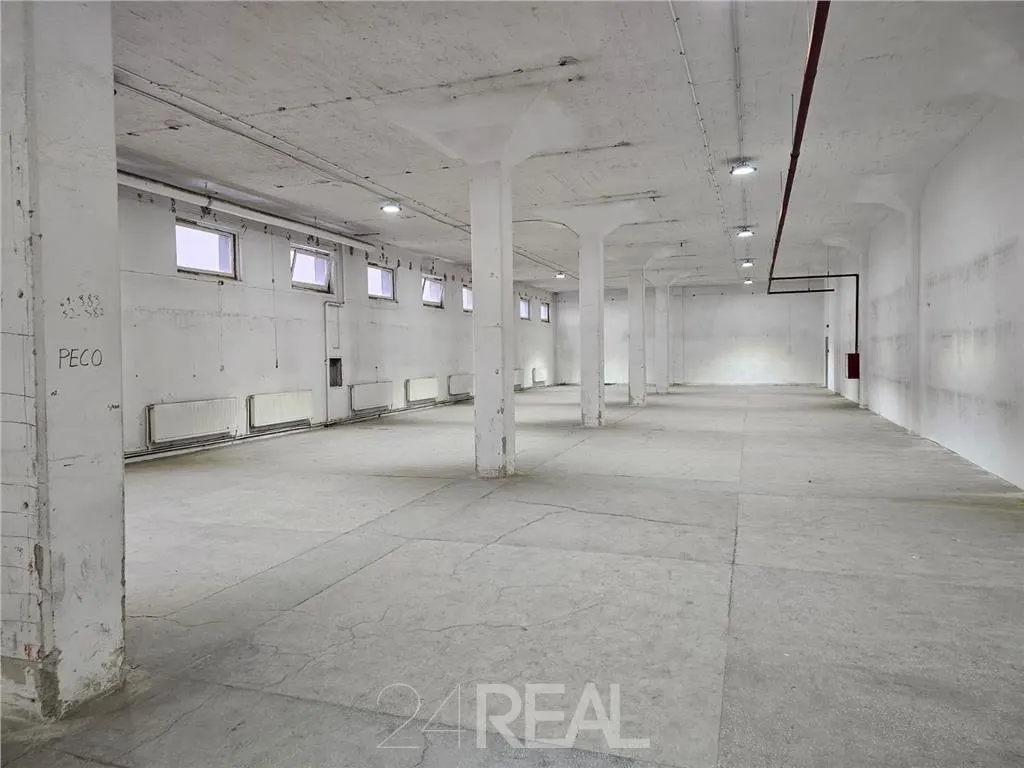 Spatii depozitare, productie, birouri, showroom-uri - de la 450 mp - foto 11