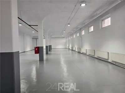 Spatii depozitare, productie, birouri, showroom-uri - de la 450 mp - foto 5