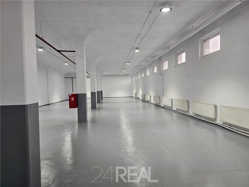 Spatii depozitare, productie, birouri, showroom-uri - de la 450 mp - foto 5