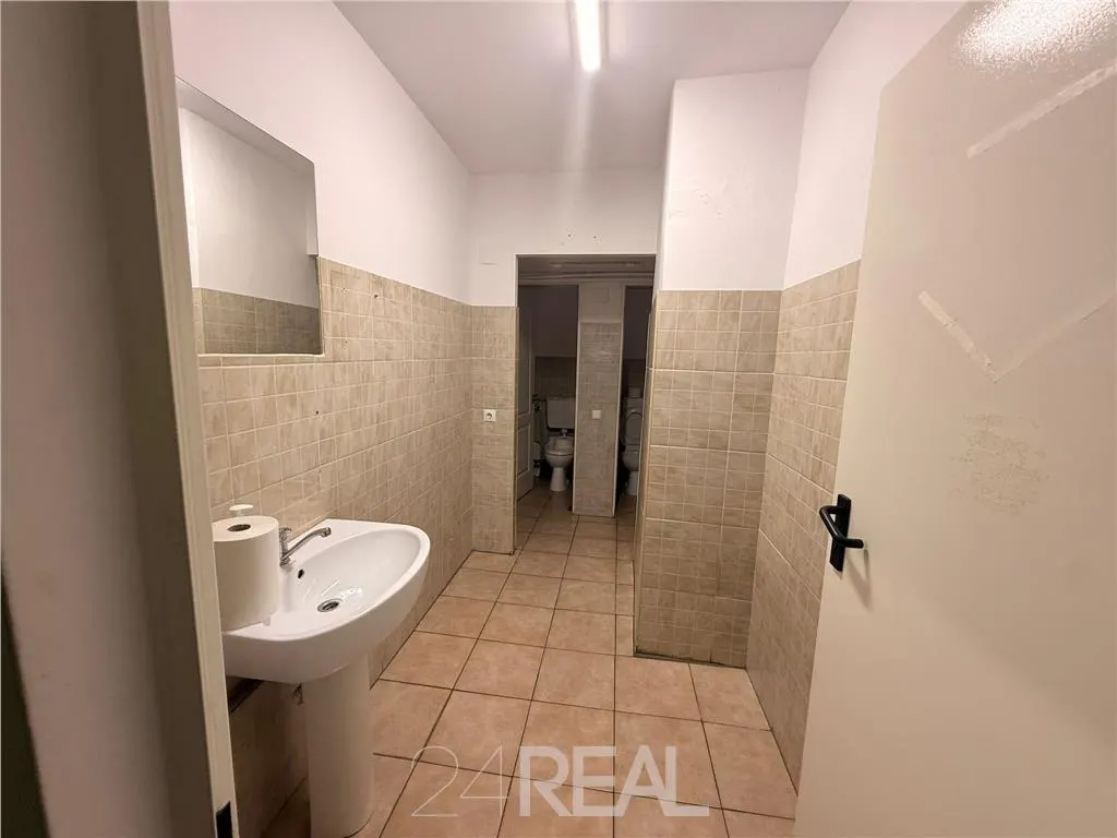 Spatii pentru birouri in Sema Parc - foto 19