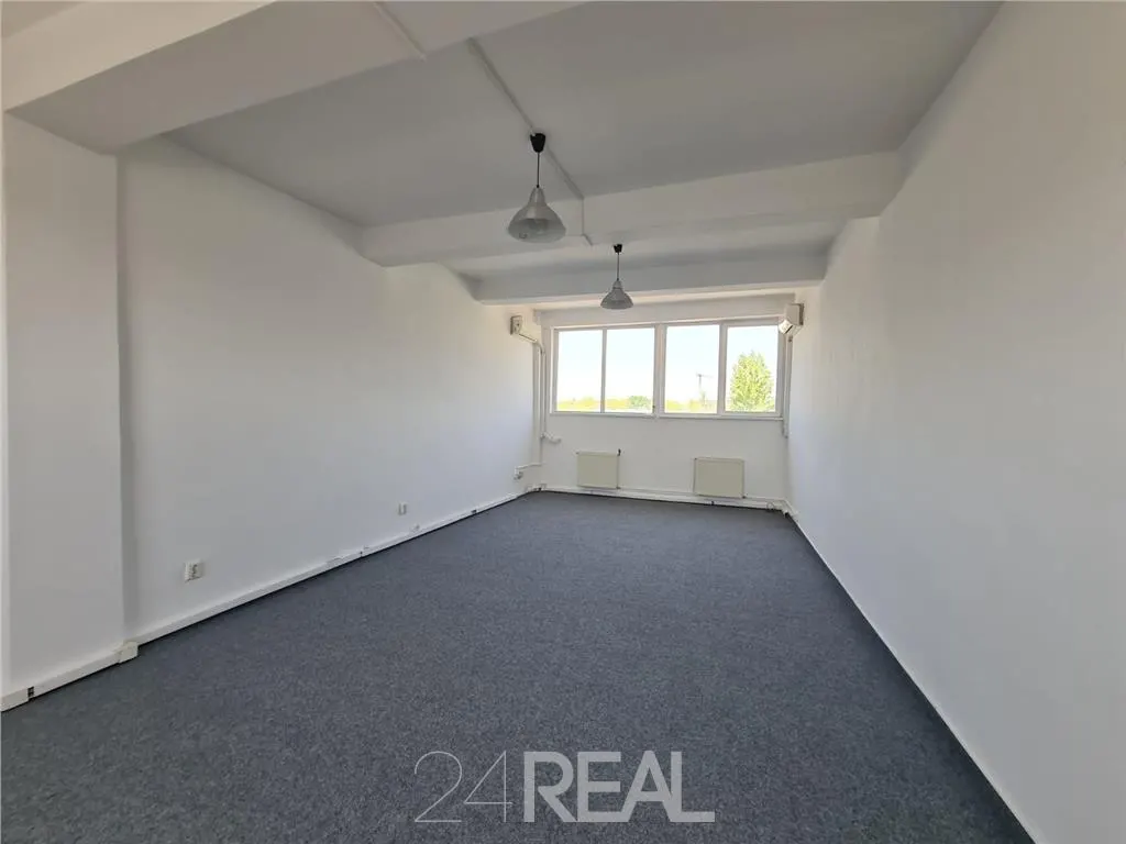 Spatii pentru birouri in Sema Parc - foto 8