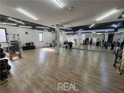 Spatiu de birou sau sala de sport/dans/pilates - ultracentral - 170 mp - foto 5