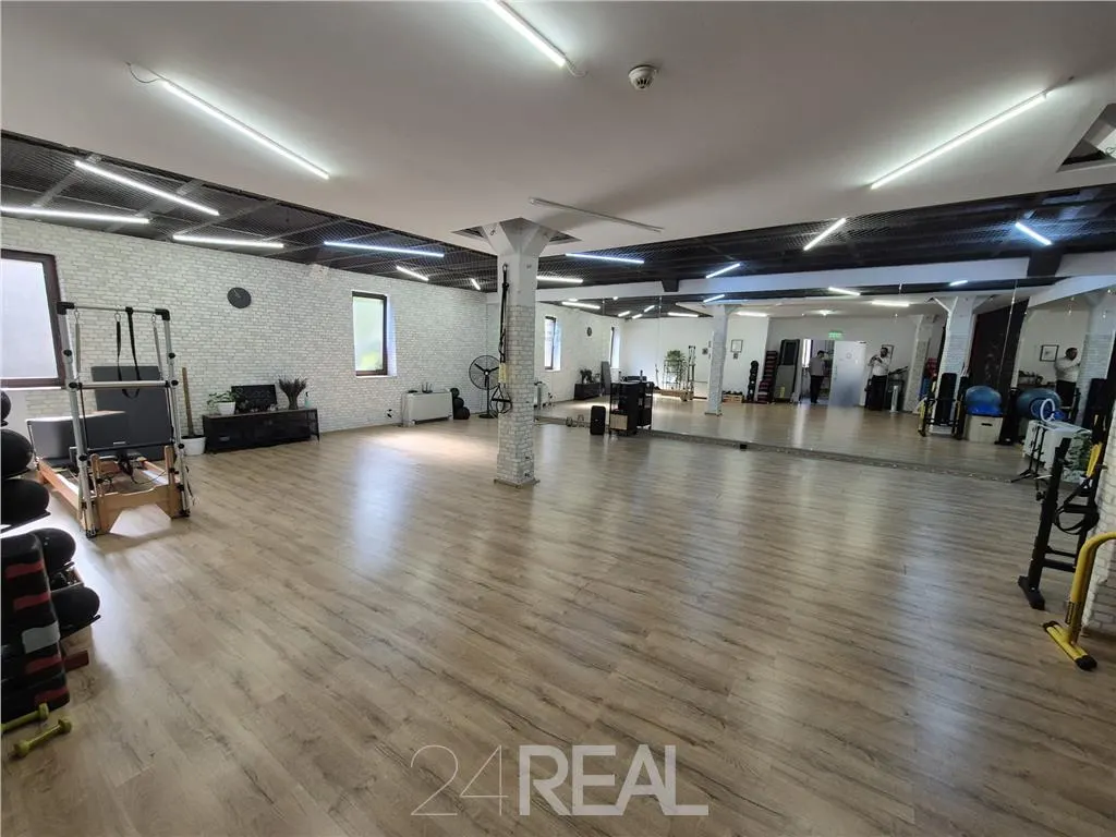 Spatiu de birou sau sala de sport/dans/pilates - ultracentral - 170 mp - foto 5