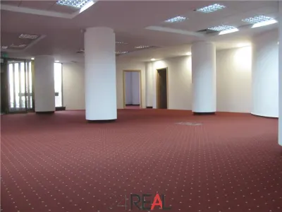 Inchiriere spatii de birouri zona Titulescu - foto 5