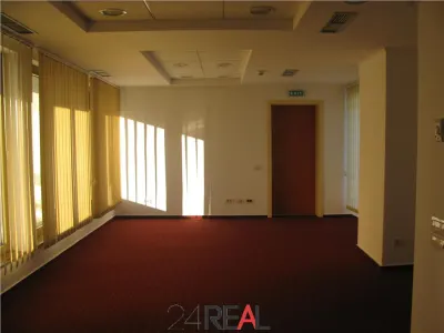 Inchiriere spatii de birouri zona Titulescu - foto 10