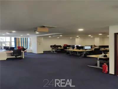 Inchiriere Spatii Birouri in Piata Unirii - 1 minut metrou - foto 13