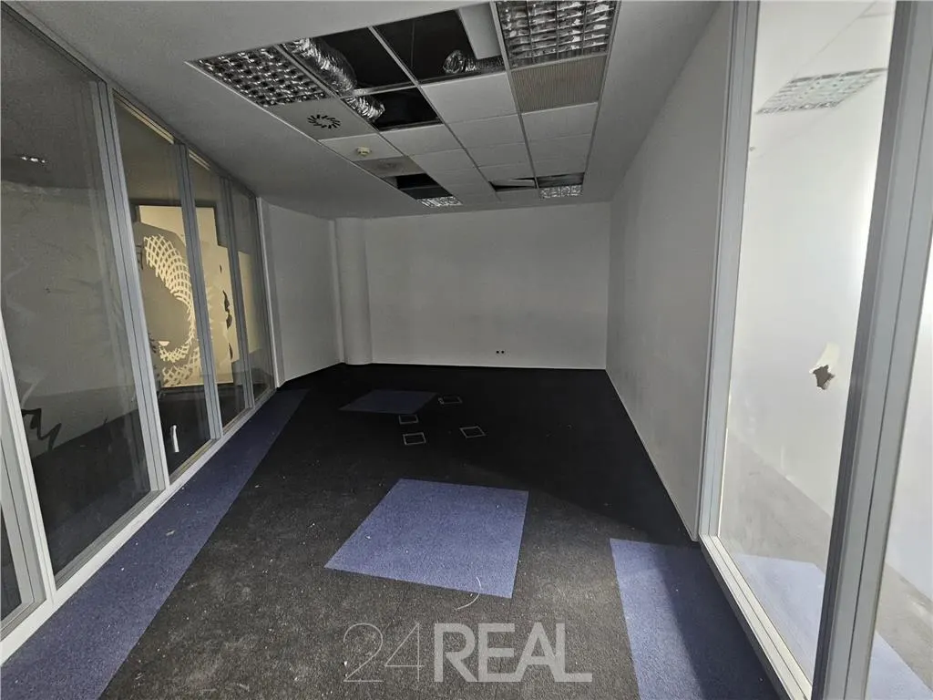 Inchiriere birouri in AFI Floreasca Business Park de la 214 mp - foto 11