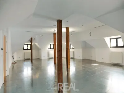 Vila de mari dimensiuni proaspat renovata - de vanzare - foto 5
