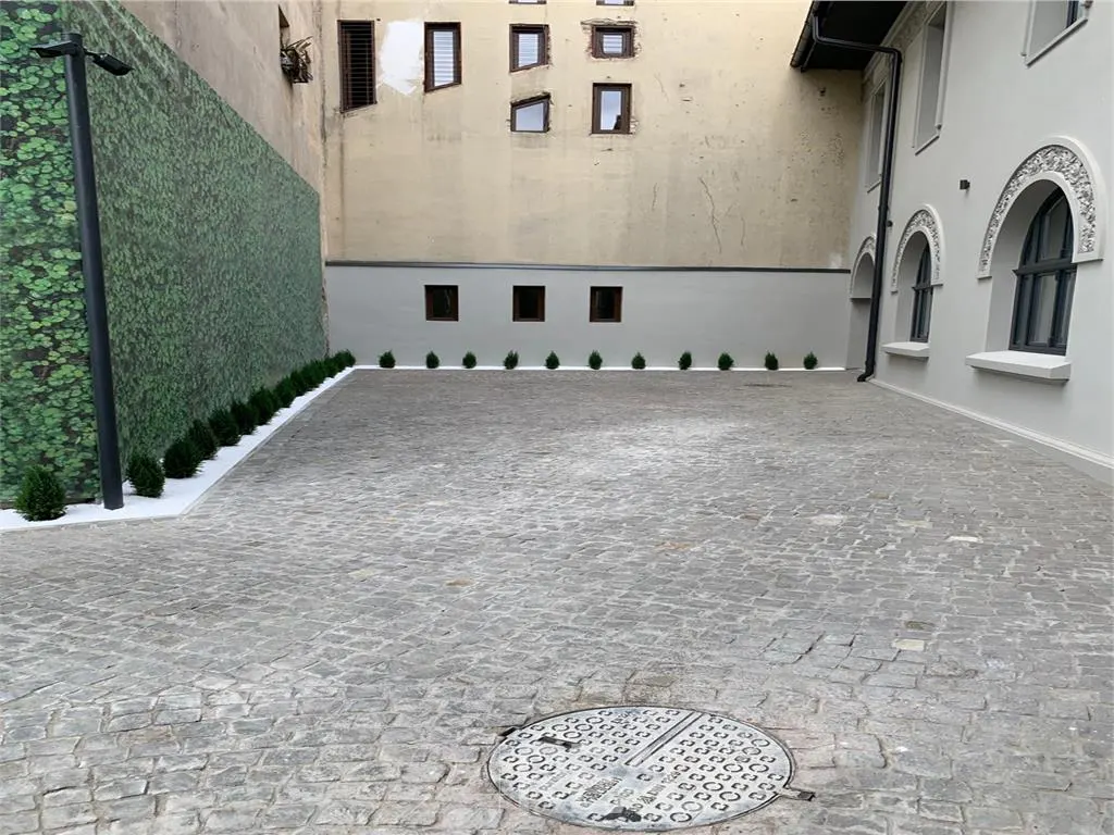 Vila de mari dimensiuni proaspat renovata - de vanzare - foto 8