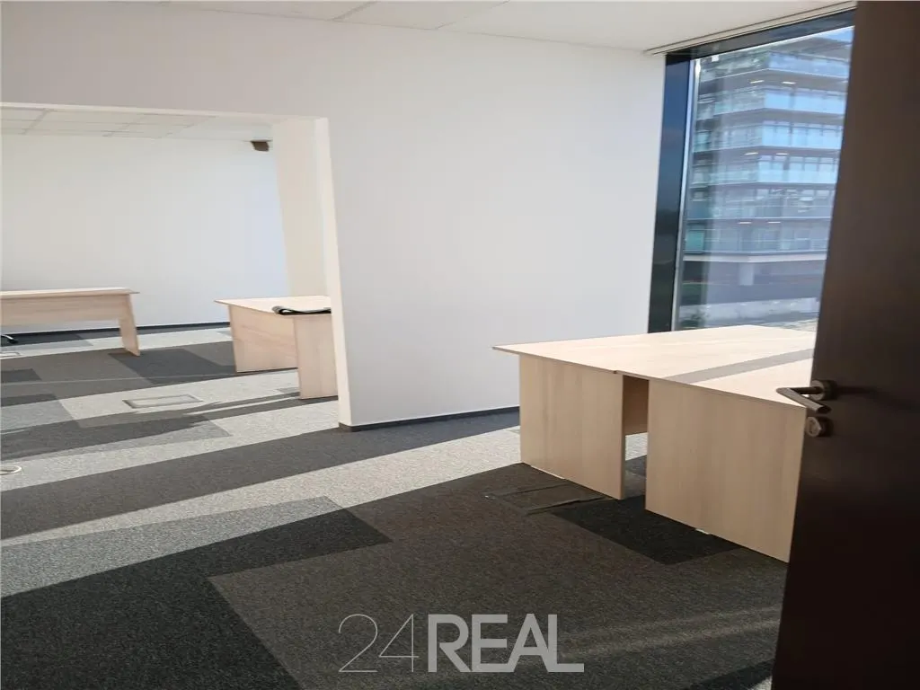Spatii birouri in Business Hub - foto 13