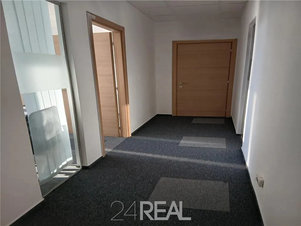 Spatii birouri in Business Hub - foto 18