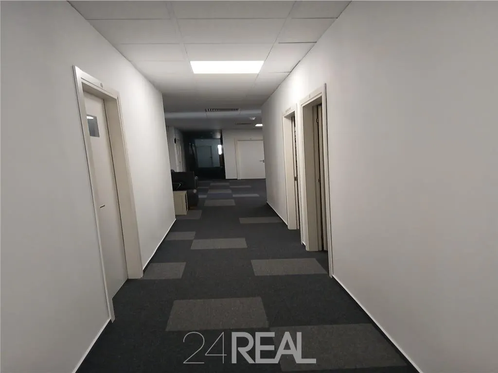 Spatii birouri in Business Hub - foto 25