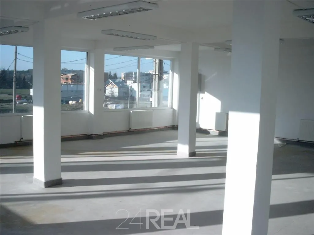 Spatiu versatil pentru birouri, pensiune sau restaurant – Pitesti - foto 4