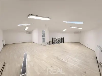 Vila moderna de inchiriat - 250 mp + 100 mp curte-Podul Grant - foto 7