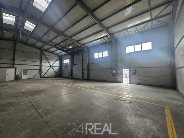 Spațiu industrial Cernica - poza 6