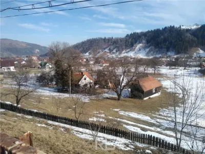 Vanzare teren Moeciu - Brasov - 6000 mp - Brasov