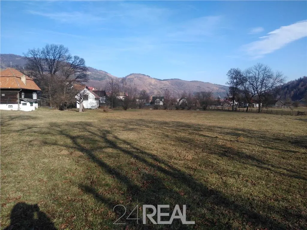 Vanzare teren Moeciu - Brasov - 6000 mp - foto 3