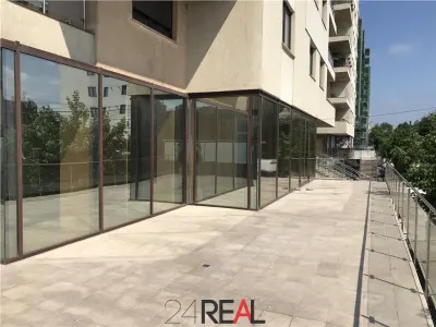 Vanzare spatiu comercial showroom birouri 258 mp + 135 mp terasa - Bucuresti
