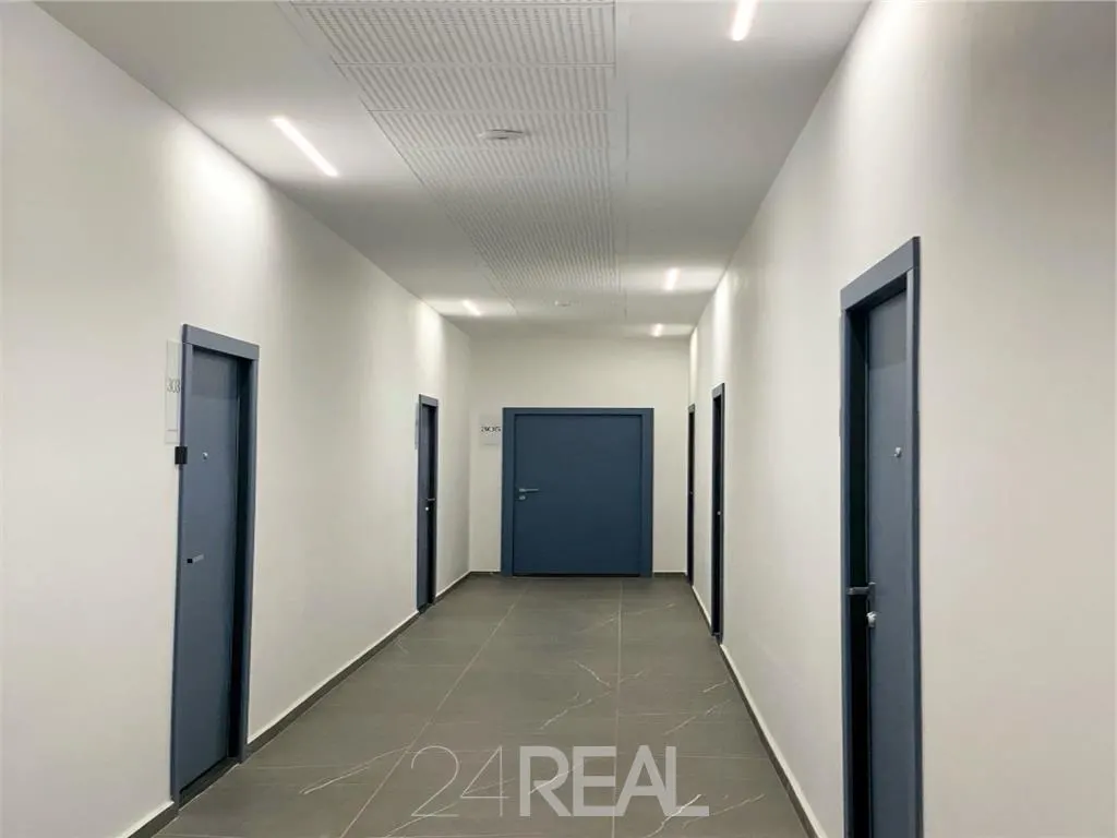 Loft Pajura Bucurestii Noi - foto 16