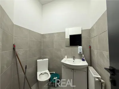 Inchiriere spatiu comercial in Chitila - foto 9