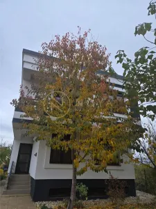 Direct proprietar Vila de vanzare Str Arcului 302 mp teren intravilan - foto 21