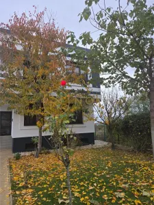 Direct proprietar Vila de vanzare Str Arcului 302 mp teren intravilan - foto 23