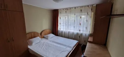 Apartament de Inchiriat Ultra central - Bd Stefan - foto 7