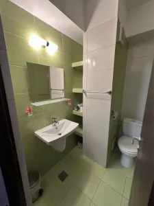 Apartament 2 Camere Decomandat â€“Nicolina - foto 14