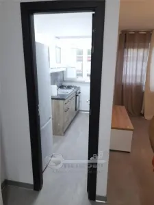 Apartament o camera Tudor Vladimirescu - Gradinari - foto 3