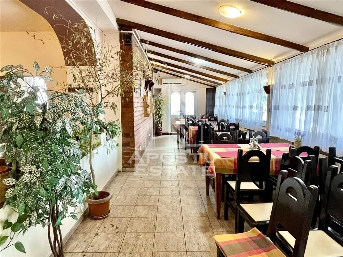 Restaurant Pizzerie in Complexul Studentesc Timisoara - foto 2