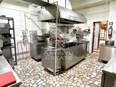 Restaurant Pizzerie in Complexul Studentesc Timisoara - foto 11