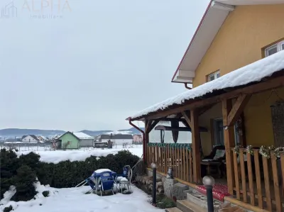 Casa spatioasa cu teren generos si anexe, cu posibilitate de schimb cu apartament 3 sau 4 camere - Satu Nou